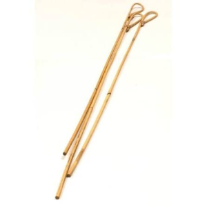 Rotan